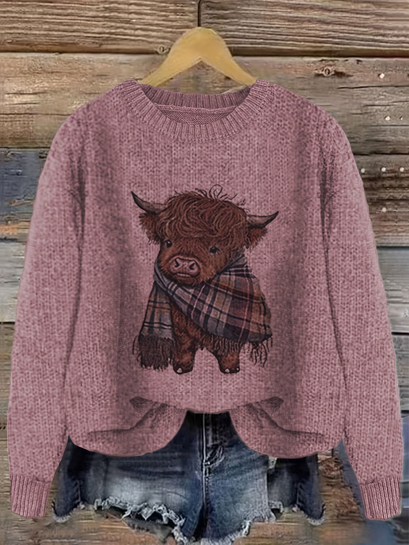 Cozy Color Block Pullover Sweater for Winter Wear Casual
