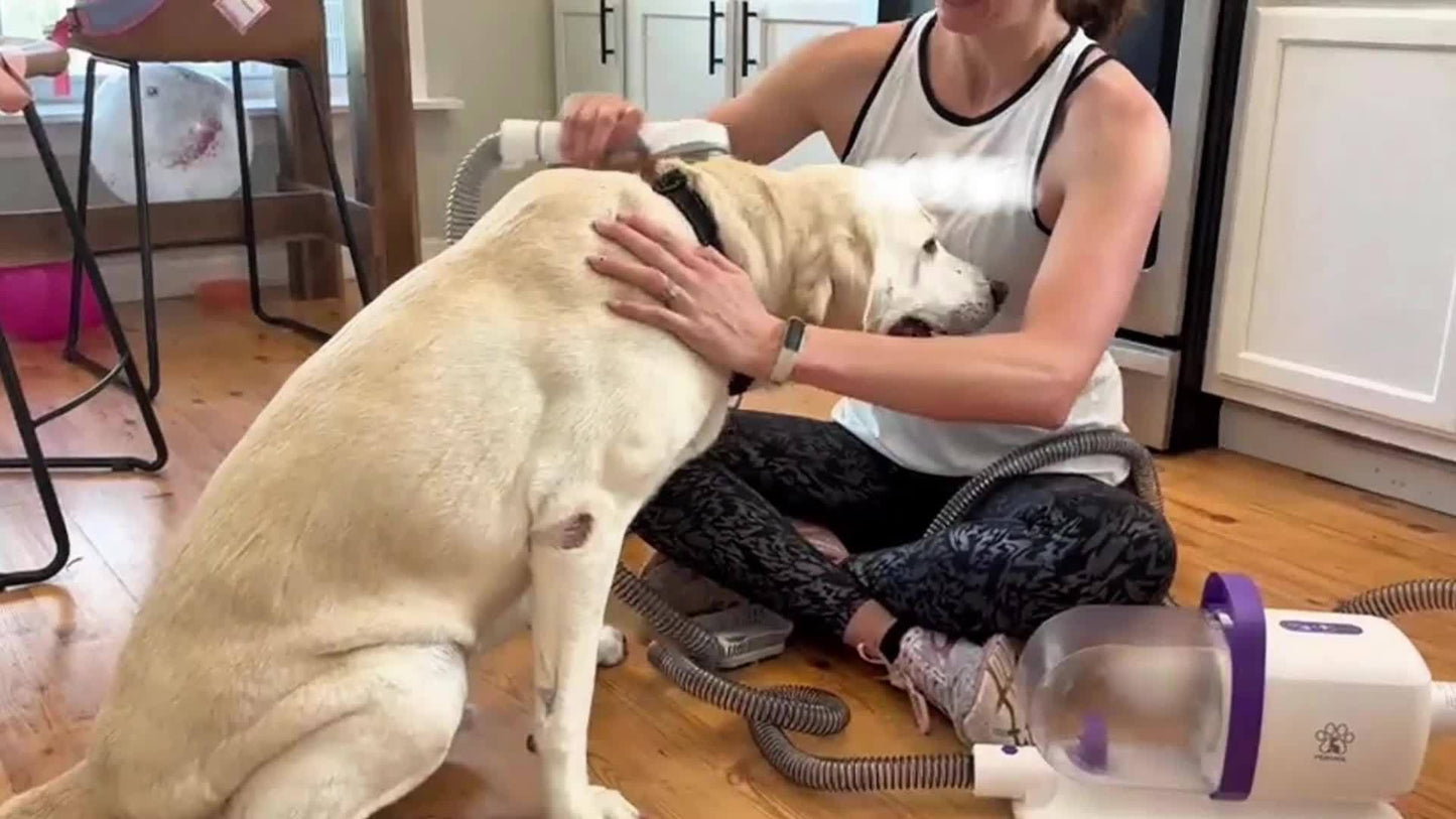 PetFusion 8 In 1 Dog Hair Grooming Vacuum Cleaner