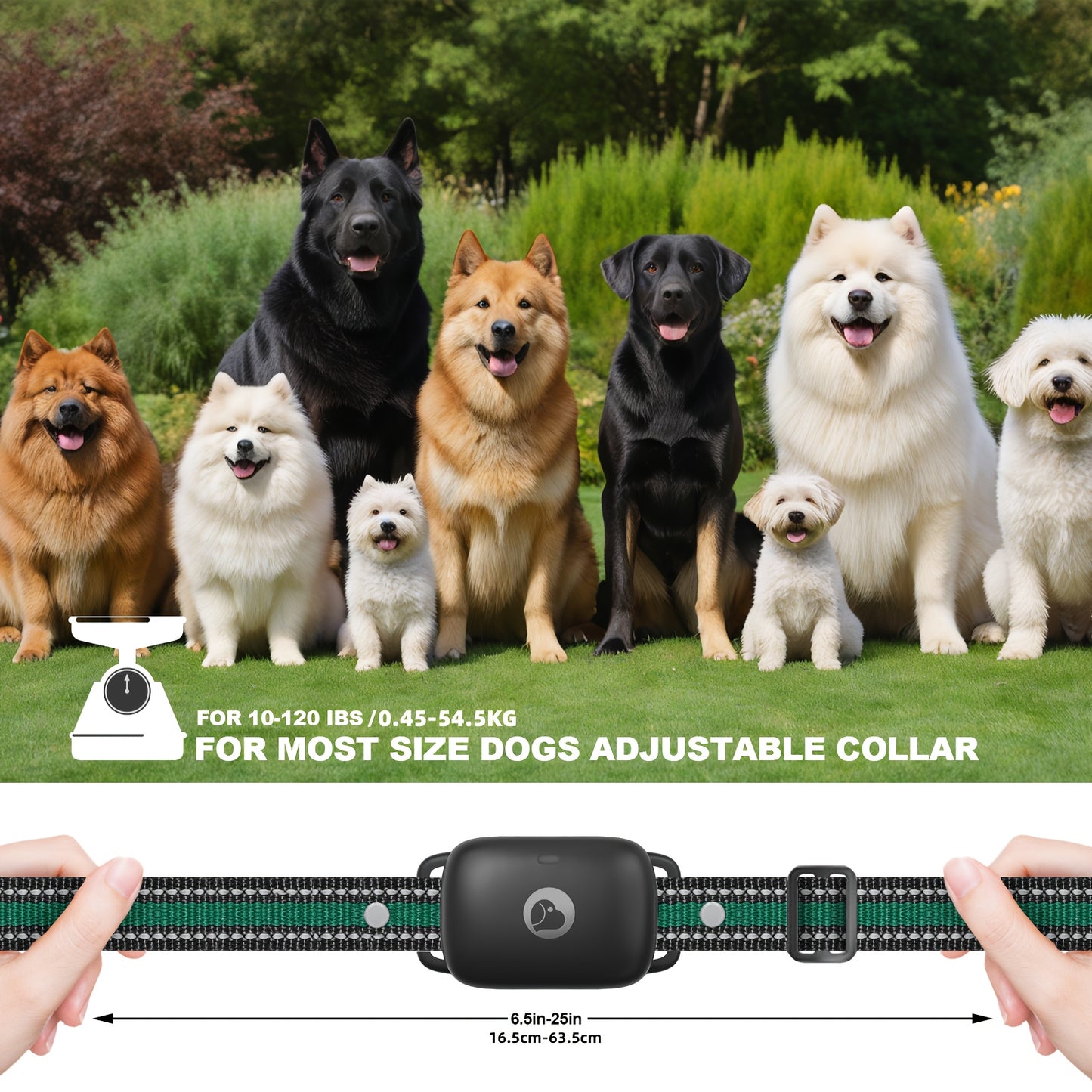 Whiskers Dog Shock Collar with Remote Rechargeable Training Collar