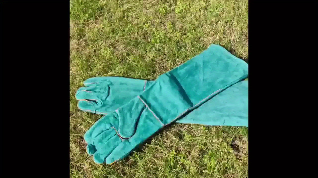 Pet Grooming Gloves Bite Scratch Resistant For Dogs Cats