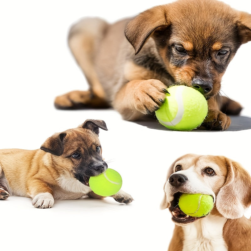 Automatic Dog Ball Launcher By Innovative Pet Products