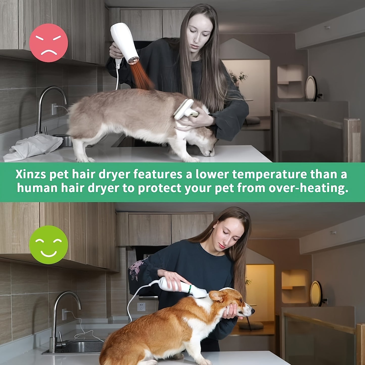 LIVEKEY Pet Grooming Dryer With Adjustable Temperature
