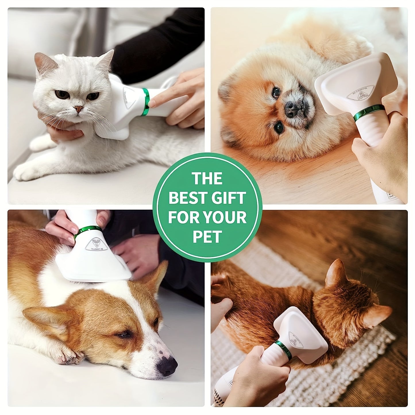 LIVEKEY Pet Grooming Dryer With Adjustable Temperature