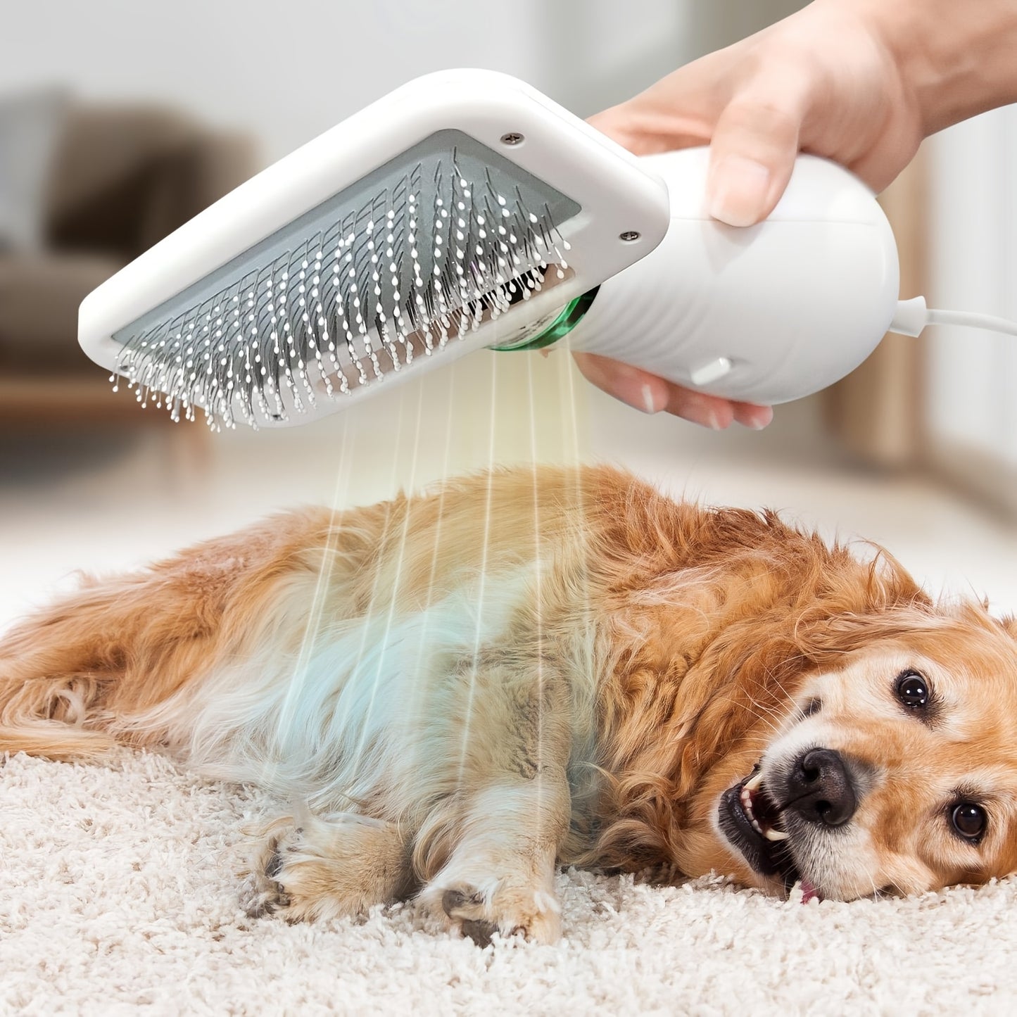 LIVEKEY Pet Grooming Dryer With Adjustable Temperature
