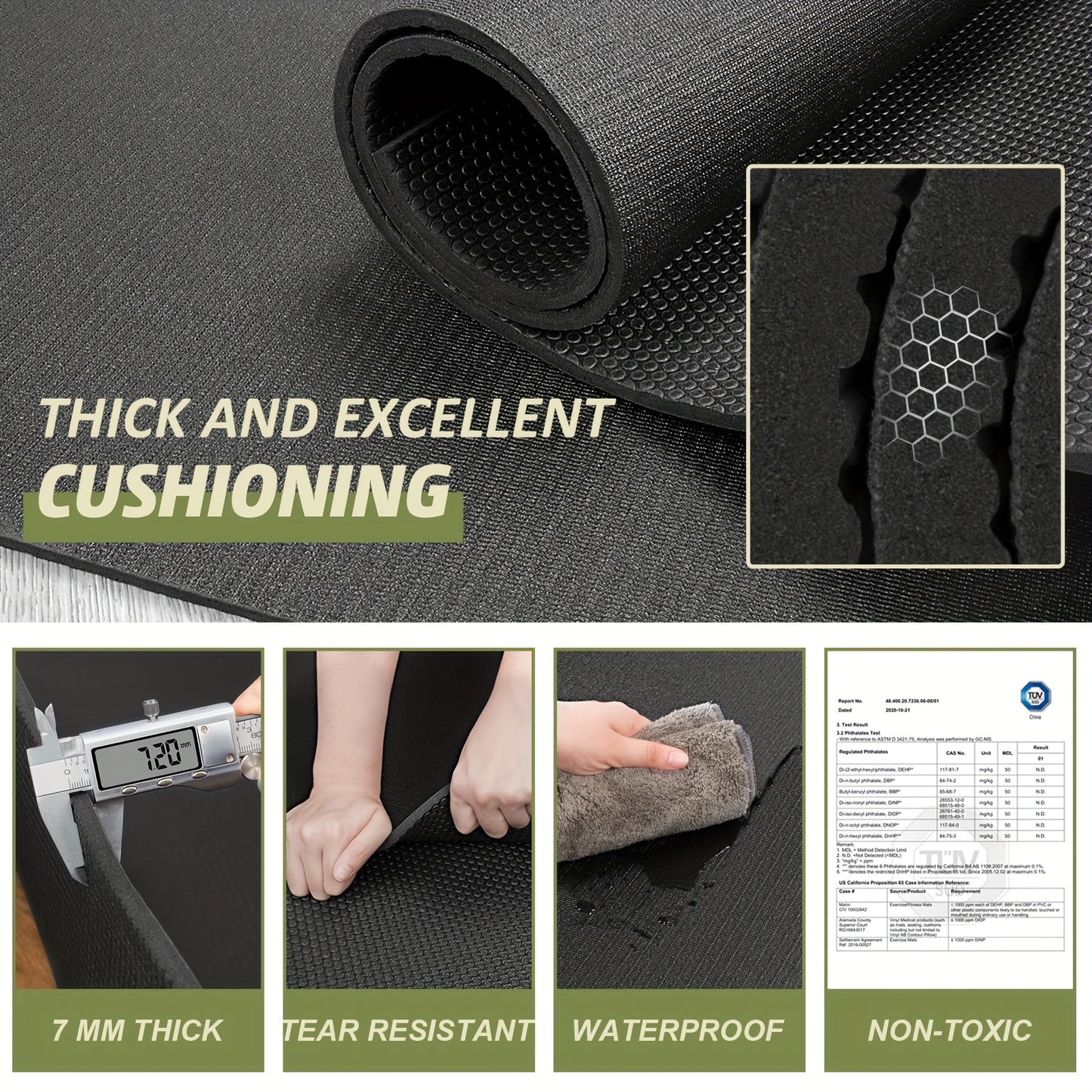 Whiskers Workouts High Quality Fitness Mat