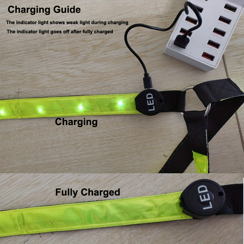 Adjustable Straps For Horse Harness With Rechargeable LED