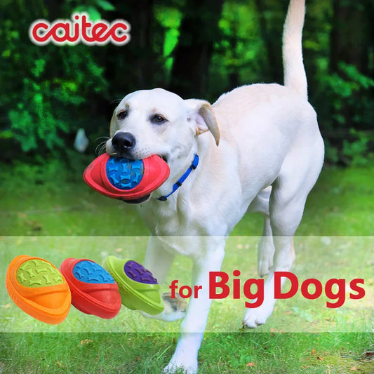 CAITEC Dog Football Toy Squeaky Floatable For Outdoors