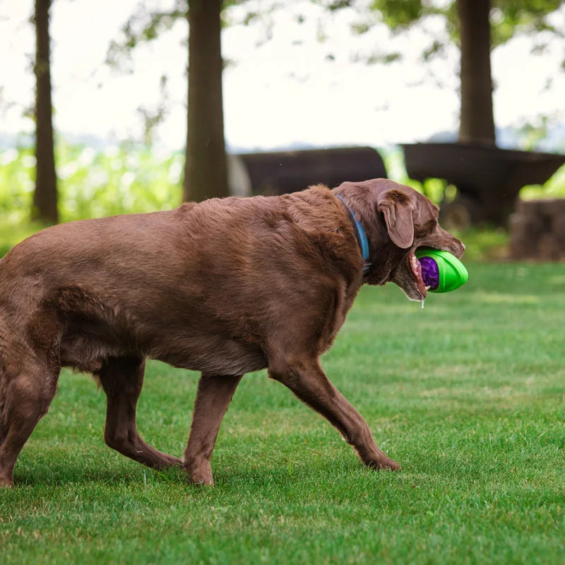 CAITEC Dog Football Toy Squeaky Floatable For Outdoors