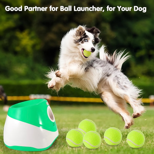 Automatic Dog Ball Launcher By Innovative Pet Products